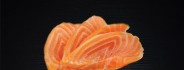 SASHIMI